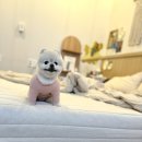 사계2248 이미지