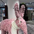 (주)쿱스토어진주 | [뜨개기록] 합사실을 좋아한다면? 아드바크 팝업 스토어 | 2025.12.10