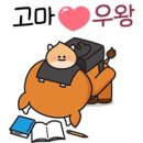 납청놋전 | (2025.02) 이달의 유물 '유기: 놋그릇'