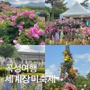 5월 국내여행 추천 곡성 장미축제 후기
