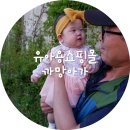 까망아가