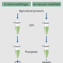 (주)진올바이오테크놀로지 이미지