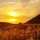 쉽게 배우는 스마트폰 이미지