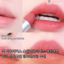 맥 파우더키스 스테이큐리어스 내돈내산후기 발색사진 핑크레드립 추천