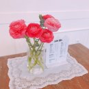 카페865