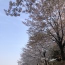 위굴리 이미지