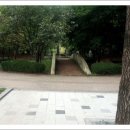 선주리들 이미지