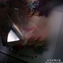 수원 앙금플라워 떡케이크 달링케이크 추천 (세번째 구매후기)