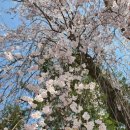 가족소풍펜션 이미지