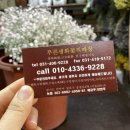 푸른생화 이미지