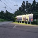 알마레월정 이미지