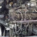 영일카프라자 이미지