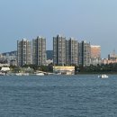 응봉 자전거대여소 | 서울 자전거 타기 좋은곳 자전거길 코스