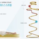 브리스퀸 이미지
