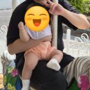 8개월 아기랑 남해 여행 | 남해 사천 아라마루 아쿠아리움 아기랑 방문 후기 입장료 주차 수유실 동물원...