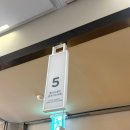세븐일레븐~롯데시네마 | 2025 드래곤길들이기 실사판 후기, 롯데시네마 수완 관람 꿀팁