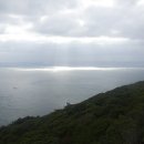 달뜰목