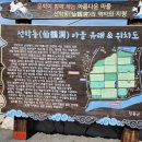 이화진축사 | 장흥 선학동 마을 메밀밭/메밀밭 주변