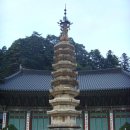 황태탕 이미지