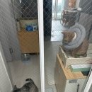 껌딱지펫 | 고양이 혼자 외로움 없이 펫시터 어플 와요 앱 알바 후기