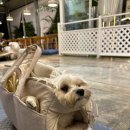 김치찌개미화식당고덕점 이미지