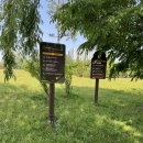 복하천 1 이미지