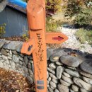 동간축사 이미지