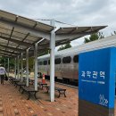 미추홀공원 (옥외1) | 국립 과천 과학관. 야외 공룡 공원, 기차, 놀이터, 곤충생태관. 주차, 위치, 야외/옥외 공원, 전시관 후기.