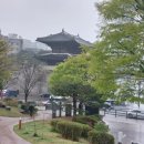 현대자동차정자점 | 서울 성곽길 동대문역 낙산 코스 후기