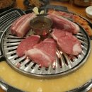 제주도야지 이미지
