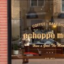 에쇼파모마 이미지