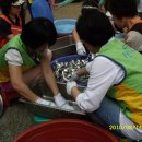 토요마당 이미지