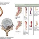 성진한의원 이미지