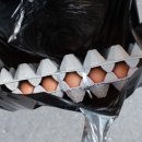 인덕농장 이미지