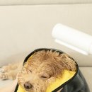 비티와이플러스