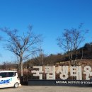 로얄방역