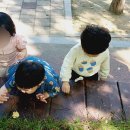 예인아트어린이집 이미지