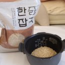 [제품리뷰]🍚 한줌잡곡 24년산 국산 현미 – 내 몸이 먼저 알아본 건강한 밥상💚 현미후기,가격,정보