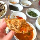 빼뽀참게 이미지