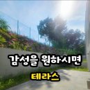 해츠빌 네이버블로그