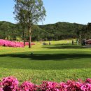 로얄개발(주) 레이크우드 골프장 이미지