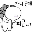 장미화장실 이미지