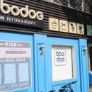 뽀독 | 부천 애견동반카페 "뽀독"다녀온후기!