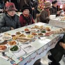 고흥-8호 이미지