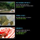라임벨리