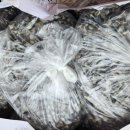 산정농원 이미지