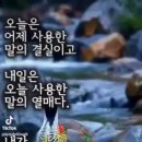 덕담 Daum카페