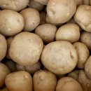 참살이영농조합법인 이미지