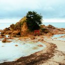 따뜻한밥상 이미지