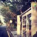 버스정류소_세천동 이미지